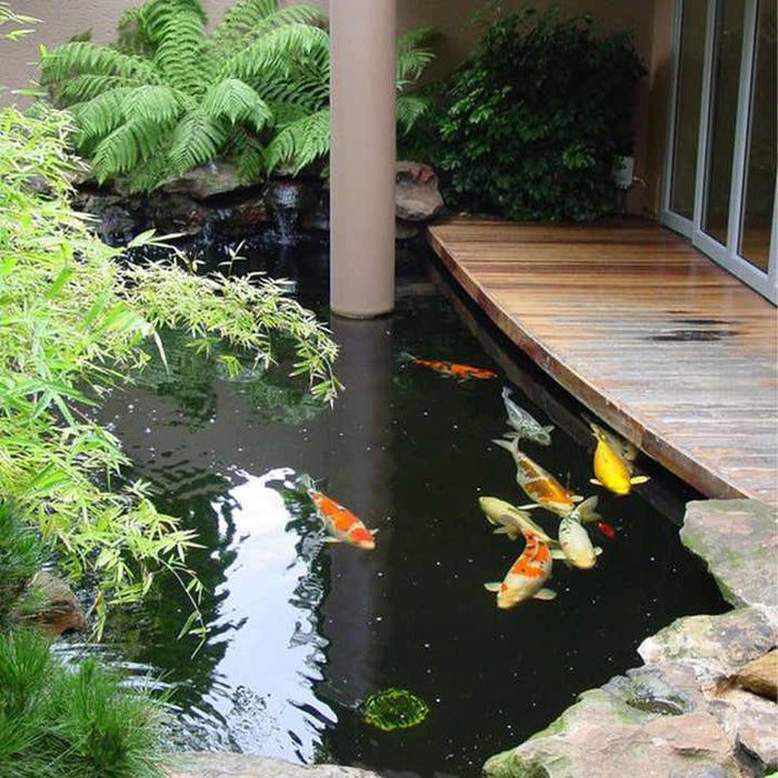Large Fiberglass Fish Pond Pool Water Feature Koi Pond